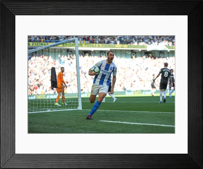 Framed Print : Brighton and Hove Albion vs. Fulham: Premier League Showdown at American Express Community Stadium (01SEP18) Framed Print : Brighton and Hove Albion vs. Fulham: Premier League Showdown at American Express Community Stadium (01SEP18)