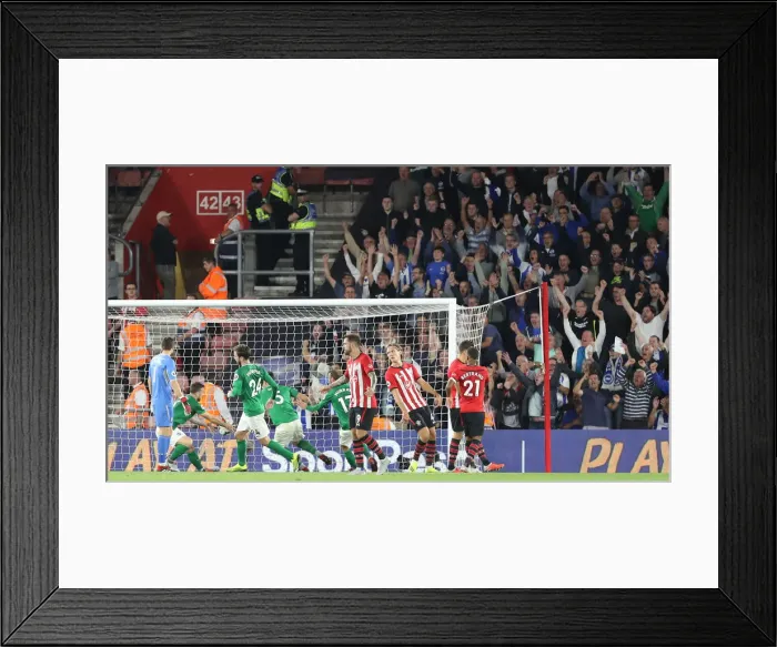 Framed Print : 17SEP18: Premier League Showdown - Southampton vs. Brighton & Hove Albion at St. Mary's Stadium Framed Print : 17SEP18: Premier League Showdown - Southampton vs. Brighton & Hove Albion at St. Mary's Stadium