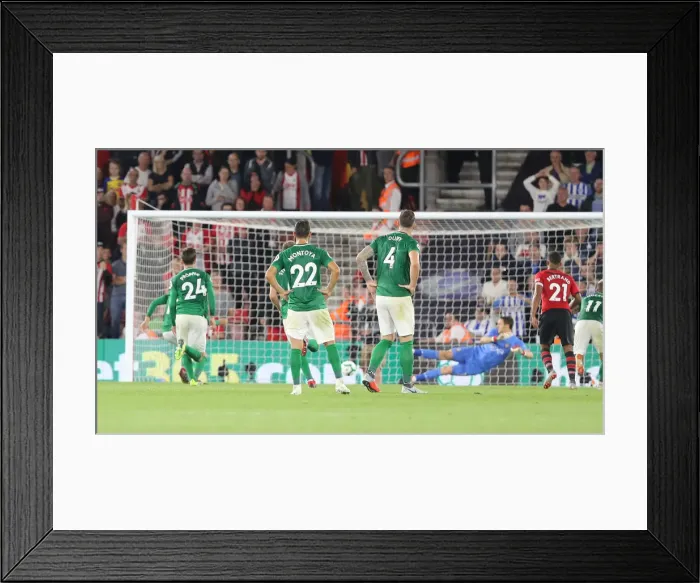 Framed Print : Premier League Showdown: Southampton vs. Brighton & Hove Albion at St. Mary's Stadium (17SEP18)