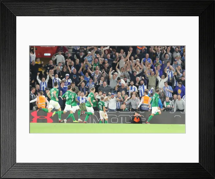 Framed Print : Premier League Showdown: Southampton vs. Brighton & Hove Albion at St. Mary's Stadium (17SEP18) Framed Print : Premier League Showdown: Southampton vs. Brighton & Hove Albion at St. Mary's Stadium (17SEP18)