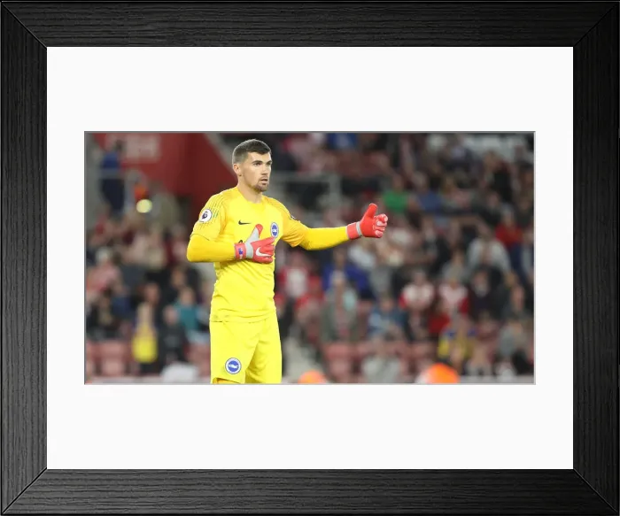 Framed Print : Premier League Showdown: Southampton vs. Brighton & Hove Albion at St. Mary's (17SEP18)