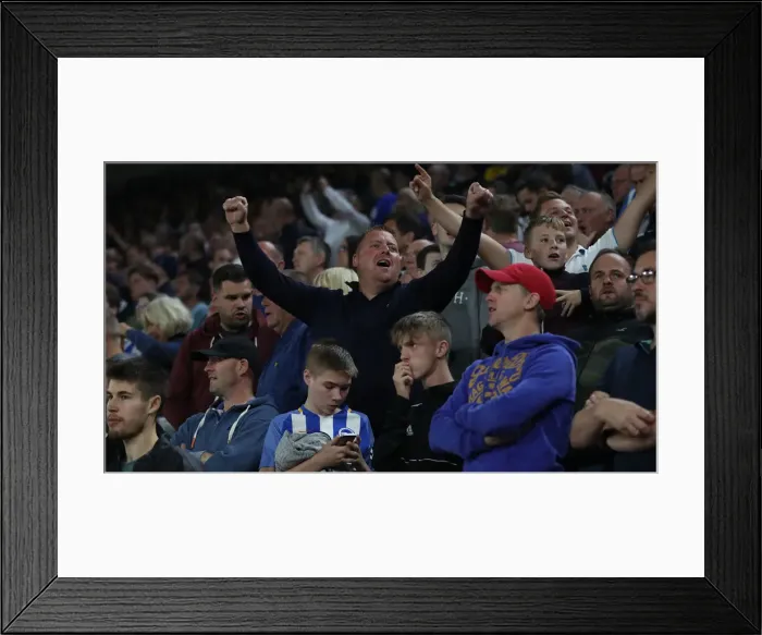 Framed Print : 17SEP18: Southampton vs. Brighton & Hove Albion - Premier League Battle at St. Mary's Framed Print : 17SEP18: Southampton vs. Brighton & Hove Albion - Premier League Battle at St. Mary's