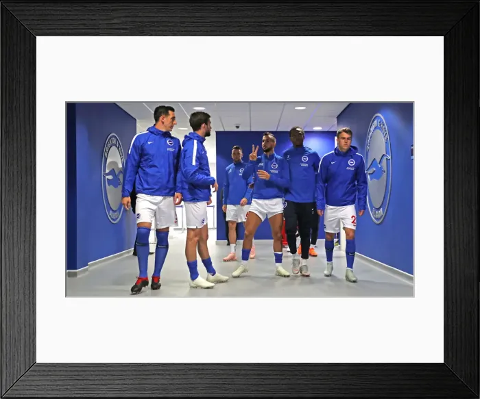 Framed Print : Brighton and Hove Albion vs. Tottenham Hotspur: Premier League Showdown at American Express Community Stadium (22SEP18) Framed Print : Brighton and Hove Albion vs. Tottenham Hotspur: Premier League Showdown at American Express Community Stadium (22SEP18)
