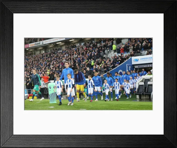 Framed Print : Brighton and Hove Albion vs. Tottenham Hotspur: Premier League Showdown at American Express Community Stadium (September 22, 2018) Framed Print : Brighton and Hove Albion vs. Tottenham Hotspur: Premier League Showdown at American Express Community Stadium (September 22, 2018)