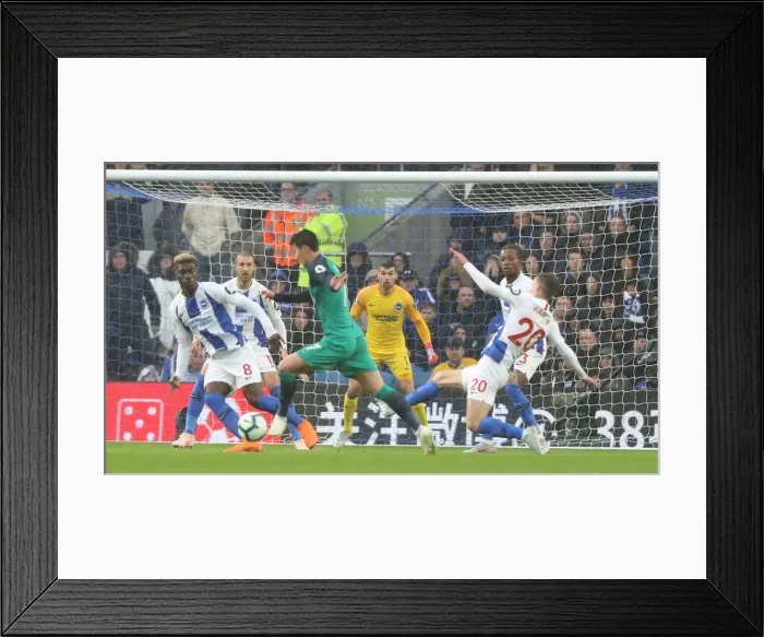 Framed Print : Brighton and Hove Albion vs. Tottenham Hotspur: Premier League Showdown at American Express Community Stadium (22SEP18)