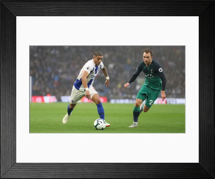 Framed Print : Brighton and Hove Albion vs. Tottenham Hotspur: Premier League Showdown at American Express Community Stadium (September 22, 2018) Framed Print : Brighton and Hove Albion vs. Tottenham Hotspur: Premier League Showdown at American Express Community Stadium (September 22, 2018)