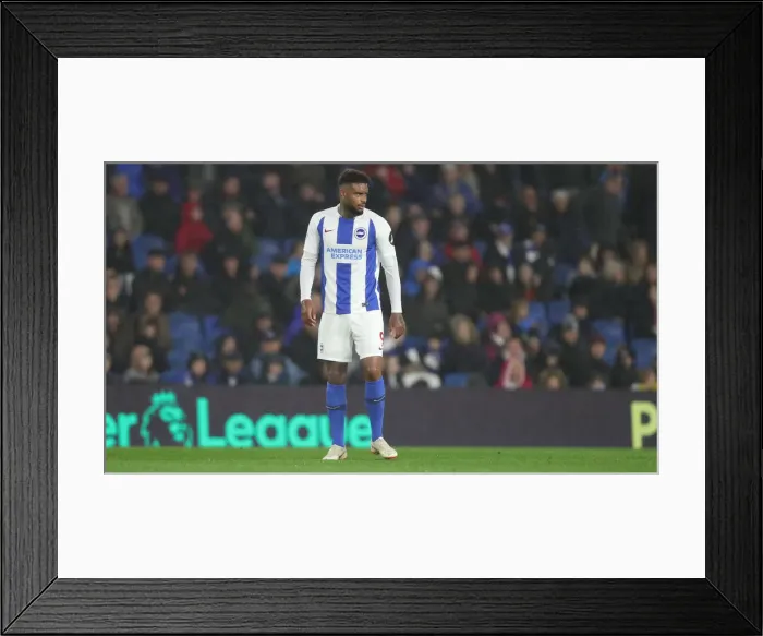 Framed Print : Brighton and Hove Albion vs. Tottenham Hotspur: Premier League Showdown at American Express Community Stadium (September 22, 2018)