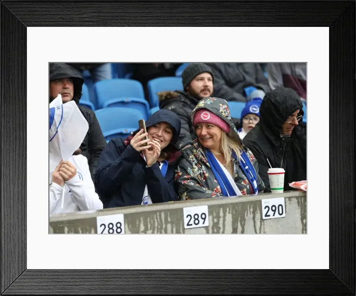 Framed Print : Brighton and Hove Albion vs. Tottenham Hotspur: Premier League Showdown at American Express Community Stadium (22SEP18) Framed Print : Brighton and Hove Albion vs. Tottenham Hotspur: Premier League Showdown at American Express Community Stadium (22SEP18)