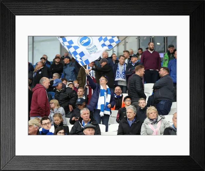 Framed Print : Brighton and Hove Albion vs. Tottenham Hotspur: Premier League Showdown at American Express Community Stadium (22SEP18) Framed Print : Brighton and Hove Albion vs. Tottenham Hotspur: Premier League Showdown at American Express Community Stadium (22SEP18)