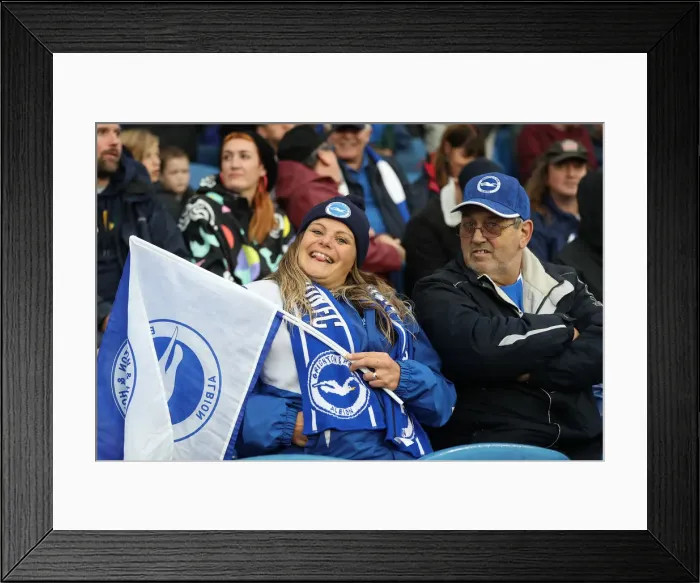 Framed Print : Brighton and Hove Albion vs. Tottenham Hotspur: Premier League Showdown at American Express Community Stadium (22SEP18) Framed Print : Brighton and Hove Albion vs. Tottenham Hotspur: Premier League Showdown at American Express Community Stadium (22SEP18)