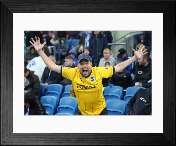 Framed Print : Brighton and Hove Albion vs. Tottenham Hotspur: Premier League Showdown at American Express Community Stadium (22SEP18) Framed Print : Brighton and Hove Albion vs. Tottenham Hotspur: Premier League Showdown at American Express Community Stadium (22SEP18)