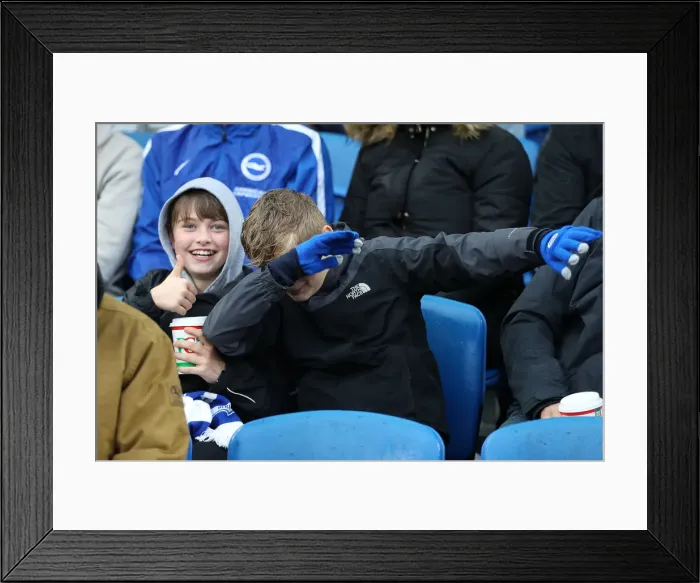 Framed Print : Brighton and Hove Albion vs. Tottenham Hotspur: Premier League Showdown at American Express Community Stadium (22SEP18) Framed Print : Brighton and Hove Albion vs. Tottenham Hotspur: Premier League Showdown at American Express Community Stadium (22SEP18)