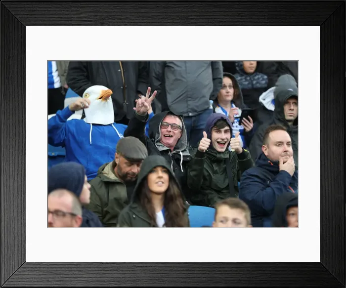 Framed Print : Brighton and Hove Albion vs. Tottenham Hotspur: Premier League Showdown at American Express Community Stadium (22SEP18) Framed Print : Brighton and Hove Albion vs. Tottenham Hotspur: Premier League Showdown at American Express Community Stadium (22SEP18)