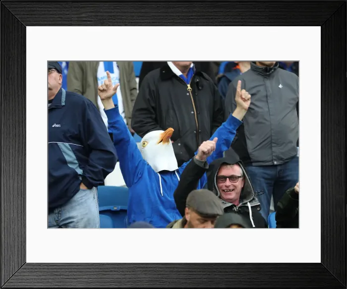 Framed Print : Brighton and Hove Albion vs. Tottenham Hotspur: Premier League Showdown at American Express Community Stadium (September 22, 2018) Framed Print : Brighton and Hove Albion vs. Tottenham Hotspur: Premier League Showdown at American Express Community Stadium (September 22, 2018)