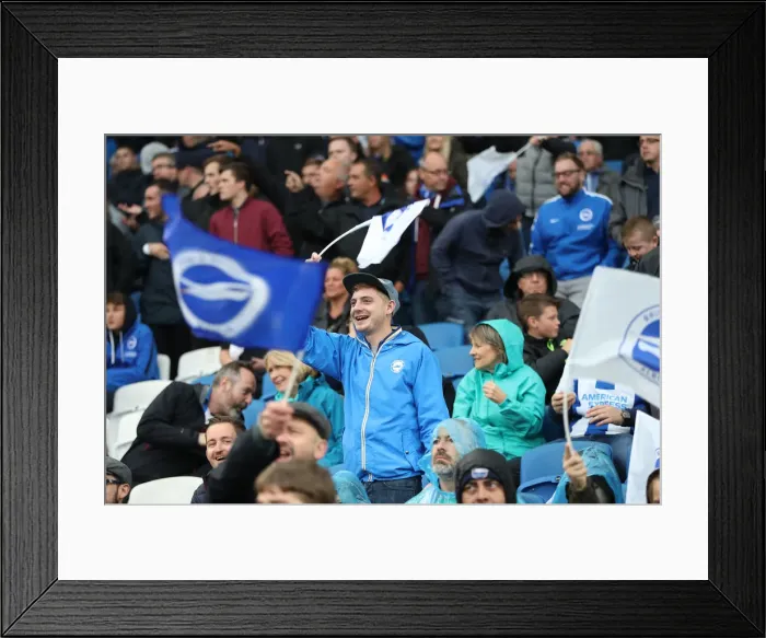 Framed Print : Brighton and Hove Albion vs. Tottenham Hotspur: Premier League Showdown at American Express Community Stadium (September 22, 2018) Framed Print : Brighton and Hove Albion vs. Tottenham Hotspur: Premier League Showdown at American Express Community Stadium (September 22, 2018)
