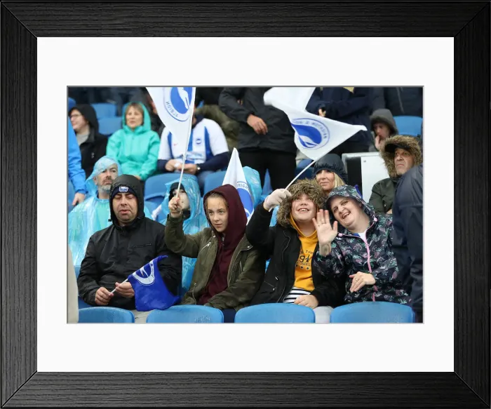 Framed Print : Brighton and Hove Albion vs. Tottenham Hotspur: Premier League Showdown at American Express Community Stadium (22SEP18) Framed Print : Brighton and Hove Albion vs. Tottenham Hotspur: Premier League Showdown at American Express Community Stadium (22SEP18)