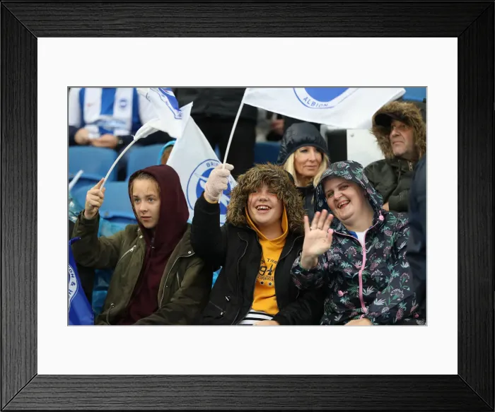 Framed Print : Brighton and Hove Albion vs. Tottenham Hotspur: Premier League Showdown at American Express Community Stadium (22SEP18) Framed Print : Brighton and Hove Albion vs. Tottenham Hotspur: Premier League Showdown at American Express Community Stadium (22SEP18)