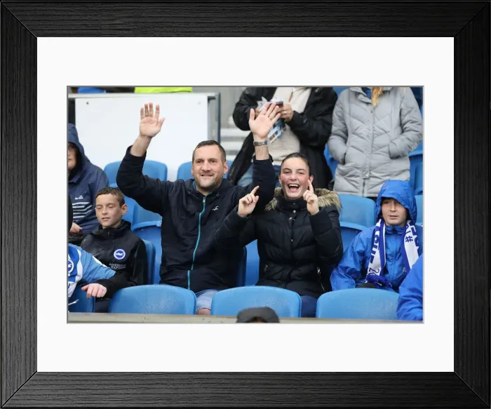 Framed Print : Brighton and Hove Albion vs. Tottenham Hotspur: Premier League Showdown at American Express Community Stadium (22SEP18) Framed Print : Brighton and Hove Albion vs. Tottenham Hotspur: Premier League Showdown at American Express Community Stadium (22SEP18)