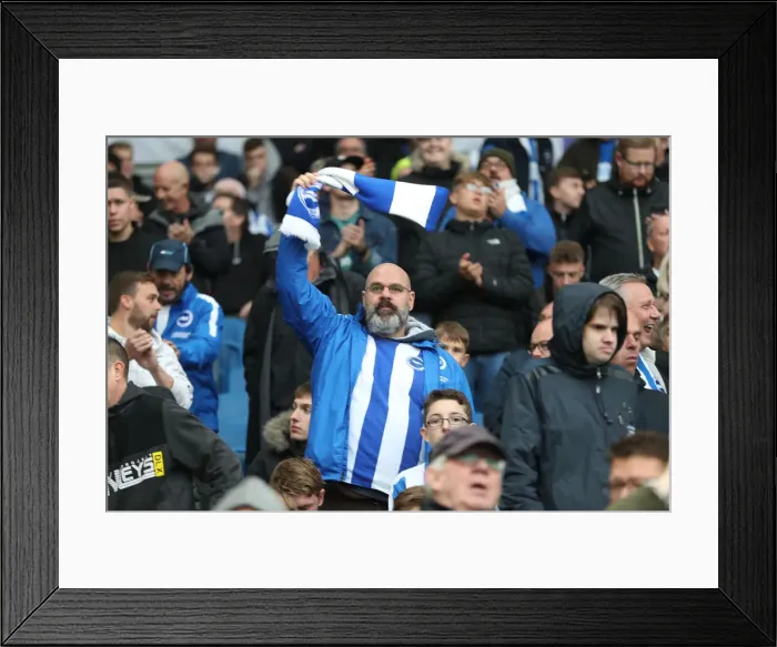 Framed Print : Brighton and Hove Albion vs. Tottenham Hotspur: Premier League Showdown at American Express Community Stadium (September 22, 2018) Framed Print : Brighton and Hove Albion vs. Tottenham Hotspur: Premier League Showdown at American Express Community Stadium (September 22, 2018)