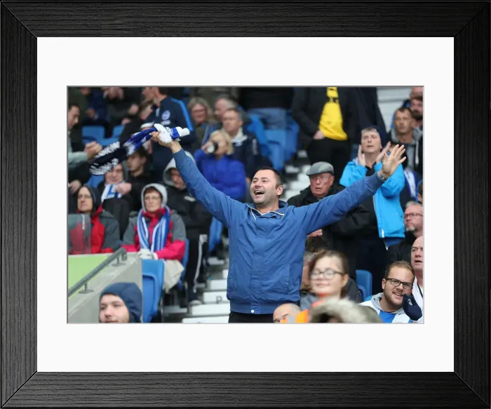 Framed Print : Brighton and Hove Albion vs. Tottenham Hotspur: Premier League Showdown at American Express Community Stadium (September 22, 2018)