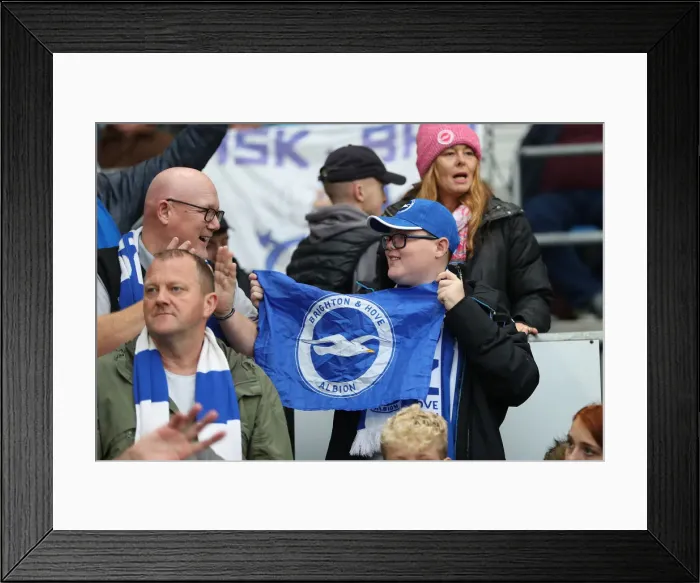 Framed Print : Brighton and Hove Albion vs. Tottenham Hotspur: Premier League Showdown at American Express Community Stadium (22SEP18) Framed Print : Brighton and Hove Albion vs. Tottenham Hotspur: Premier League Showdown at American Express Community Stadium (22SEP18)