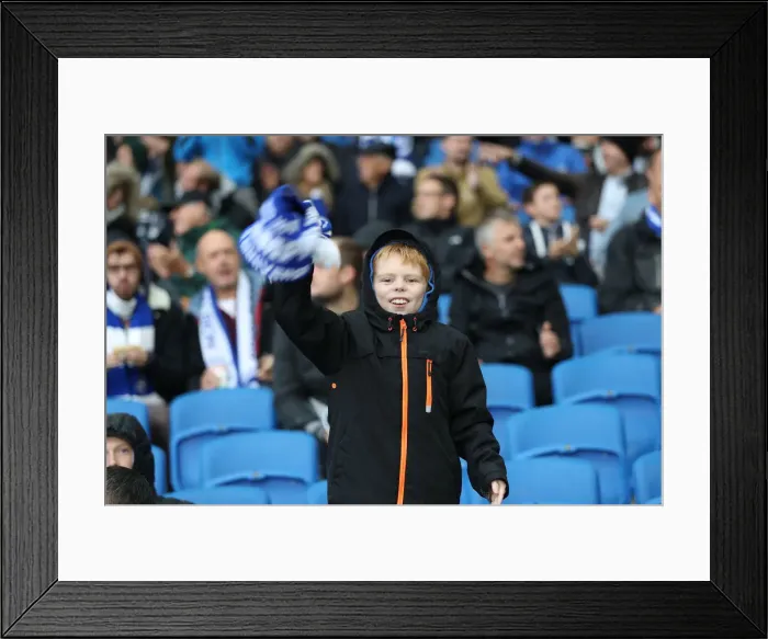 Framed Print : Brighton and Hove Albion vs. Tottenham Hotspur: Premier League Showdown at American Express Community Stadium (22SEP18) Framed Print : Brighton and Hove Albion vs. Tottenham Hotspur: Premier League Showdown at American Express Community Stadium (22SEP18)