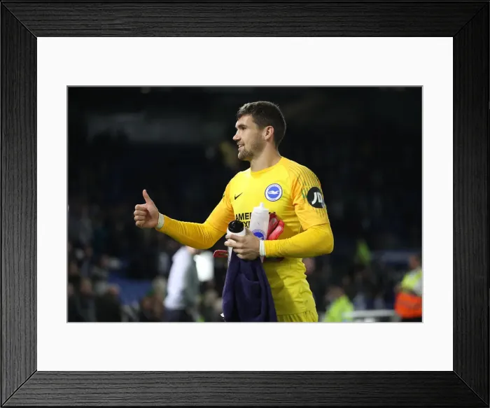 Framed Print : Brighton and Hove Albion vs. West Ham United: Premier League Showdown at American Express Community Stadium (5th October 2018) Framed Print : Brighton and Hove Albion vs. West Ham United: Premier League Showdown at American Express Community Stadium (5th October 2018)