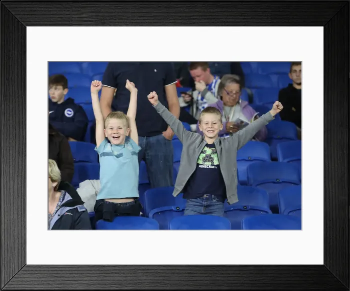 Framed Print : Brighton and Hove Albion vs. West Ham United: Premier League Showdown at American Express Community Stadium (5th October 2018) Framed Print : Brighton and Hove Albion vs. West Ham United: Premier League Showdown at American Express Community Stadium (5th October 2018)