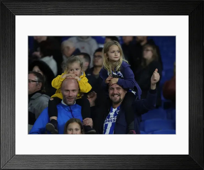 Framed Print : Brighton and Hove Albion vs. West Ham United: Premier League Showdown at American Express Community Stadium (5th October 2018) Framed Print : Brighton and Hove Albion vs. West Ham United: Premier League Showdown at American Express Community Stadium (5th October 2018)