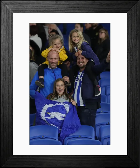Framed Print : Brighton and Hove Albion vs. West Ham United: Premier League Showdown at American Express Community Stadium (5th October 2018) Framed Print : Brighton and Hove Albion vs. West Ham United: Premier League Showdown at American Express Community Stadium (5th October 2018)