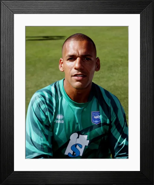 Framed Print : Michel Kuipers: Brighton & Hove Albion FC's Dutch Defender Framed Print : Michel Kuipers: Brighton & Hove Albion FC's Dutch Defender