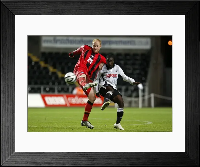 Framed Print : Whing Swansea 7097 Framed Print : Whing Swansea 7097