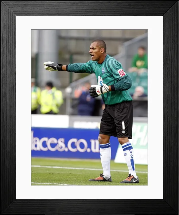 Framed Print : Michel Kuipers: A Former Brighton and Hove Albion Football Star Framed Print : Michel Kuipers: A Former Brighton and Hove Albion Football Star