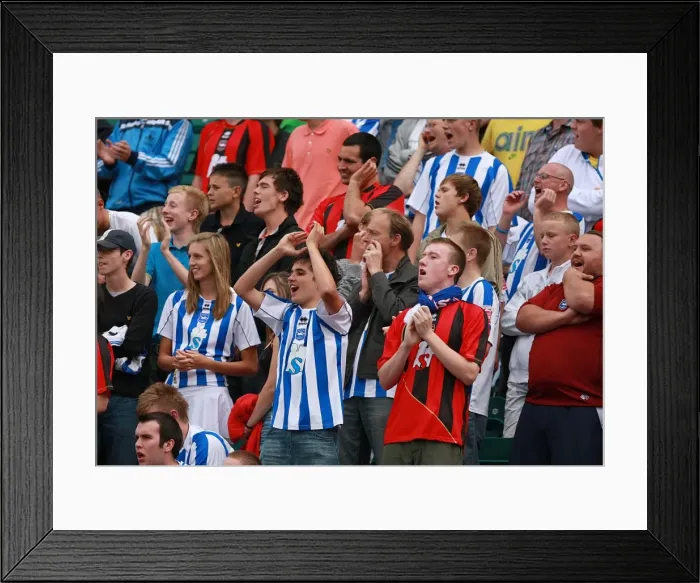 Framed Print : The Sea of Supporters: Crowd Favorites of Brighton & Hove Albion's Withdean Era Framed Print : The Sea of Supporters: Crowd Favorites of Brighton & Hove Albion's Withdean Era