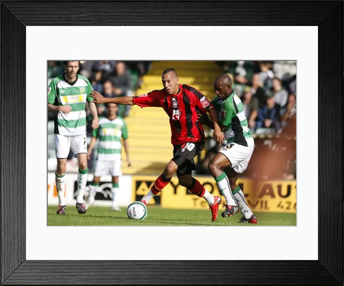 Framed Print : Brighton & Hove Albion Away at Yeovil Town: 2009-10 Season Framed Print : Brighton & Hove Albion Away at Yeovil Town: 2009-10 Season