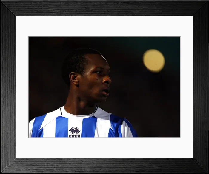 Framed Print : Brighton & Hove Albion vs. Gillingham: 2009-10 Home Season Framed Print : Brighton & Hove Albion vs. Gillingham: 2009-10 Home Season