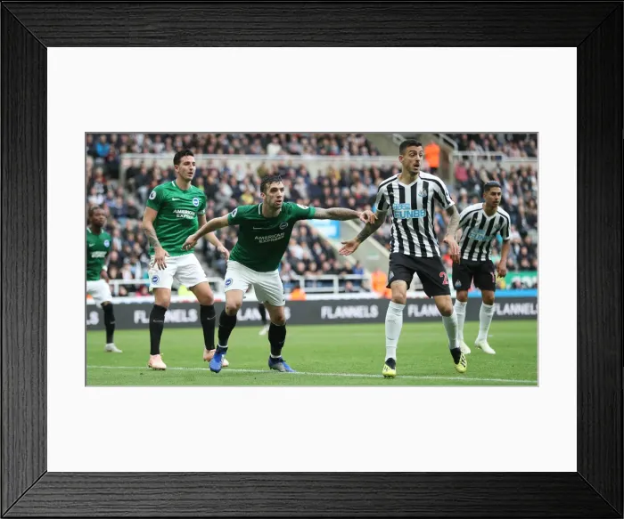 Framed Print : Premier League Showdown: Newcastle United vs. Brighton and Hove Albion at St. James Park (20th October 2018)