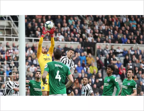 Premier League Showdown: Newcastle United vs. Brighton and Hove Albion at St. James Park (20Oct18)