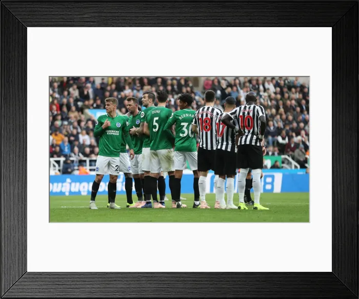 Framed Print : Premier League Showdown: Newcastle United vs. Brighton and Hove Albion at St. James Park (20Oct18)