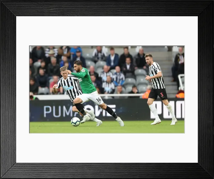 Framed Print : Premier League Showdown: Newcastle United vs. Brighton and Hove Albion at St. James Park (20th October 2018)