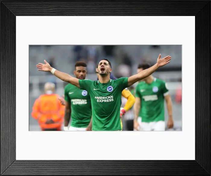Framed Print : Premier League Showdown: Newcastle United vs. Brighton and Hove Albion at St. James Park (20Oct18) Framed Print : Premier League Showdown: Newcastle United vs. Brighton and Hove Albion at St. James Park (20Oct18)