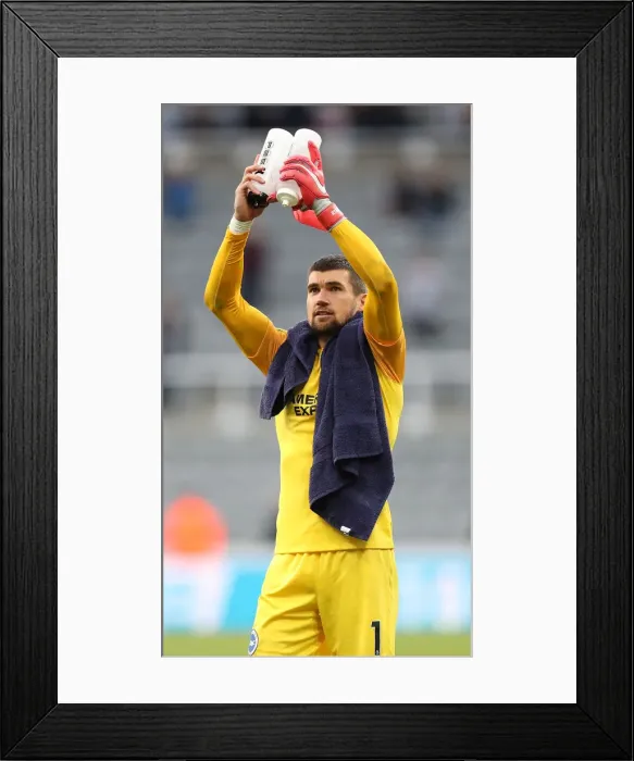 Framed Print : Premier League Showdown: Newcastle United vs. Brighton and Hove Albion at St. James Park (20th October 2018) Framed Print : Premier League Showdown: Newcastle United vs. Brighton and Hove Albion at St. James Park (20th October 2018)