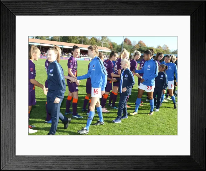 Framed Print : Mascots - Man City-7570 Framed Print : Mascots - Man City-7570