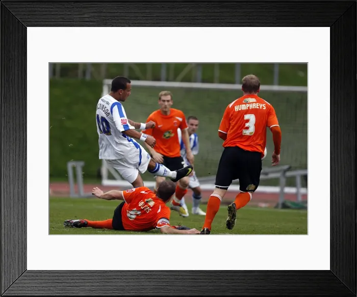 Framed Print : Brighton & Hove Albion vs Hartlepool United: 2009-10 Home Match Framed Print : Brighton & Hove Albion vs Hartlepool United: 2009-10 Home Match
