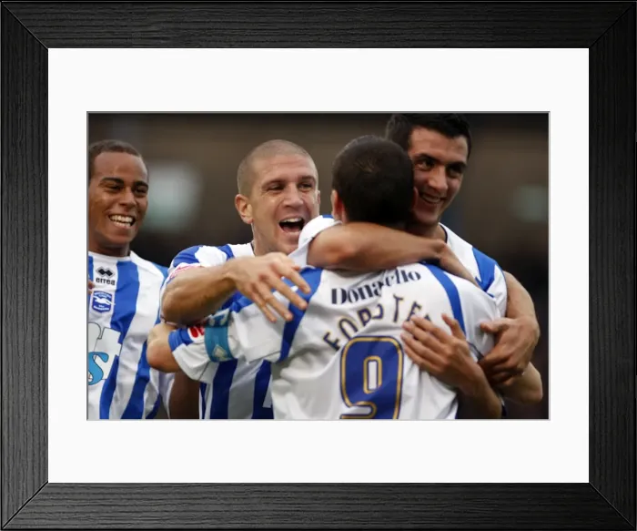Framed Print : Brighton & Hove Albion vs Hartlepool United: 2009-10 Home Match Framed Print : Brighton & Hove Albion vs Hartlepool United: 2009-10 Home Match