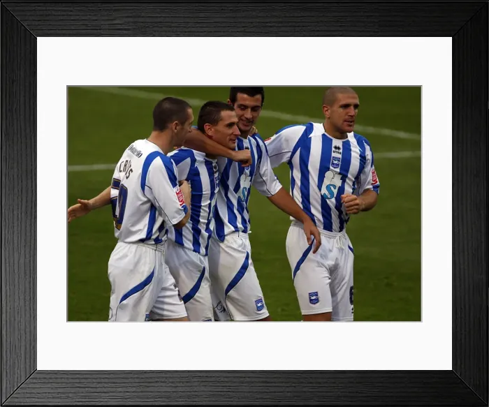 Framed Print : Brighton & Hove Albion vs Hartlepool United: 2009-10 Home Match Framed Print : Brighton & Hove Albion vs Hartlepool United: 2009-10 Home Match