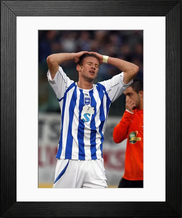 Framed Print : Brighton & Hove Albion vs Hartlepool United: 2009-10 Home Match Framed Print : Brighton & Hove Albion vs Hartlepool United: 2009-10 Home Match