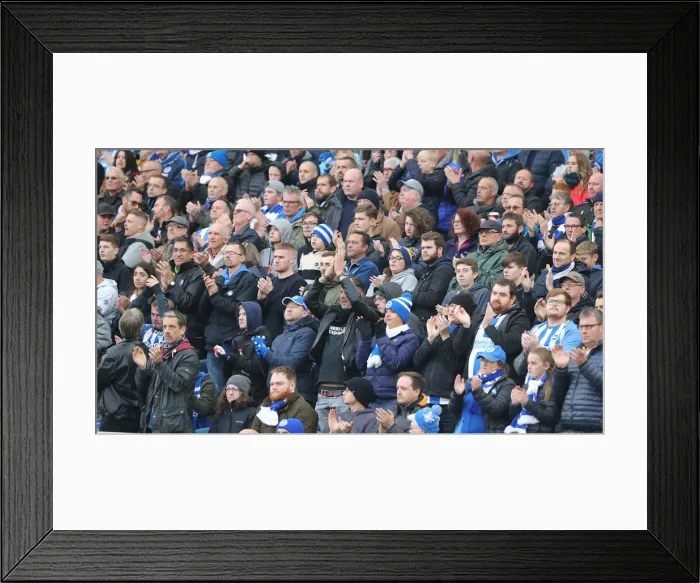 Framed Print : Brighton and Hove Albion vs. Wolverhampton Wanderers: A Premier League Showdown at American Express Community Stadium (October 26, 2018)