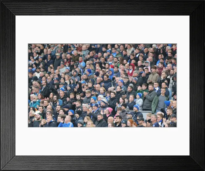 Framed Print : Brighton and Hove Albion vs. Wolverhampton Wanderers: A Premier League Battle at American Express Community Stadium (October 26, 2018) Framed Print : Brighton and Hove Albion vs. Wolverhampton Wanderers: A Premier League Battle at American Express Community Stadium (October 26, 2018)