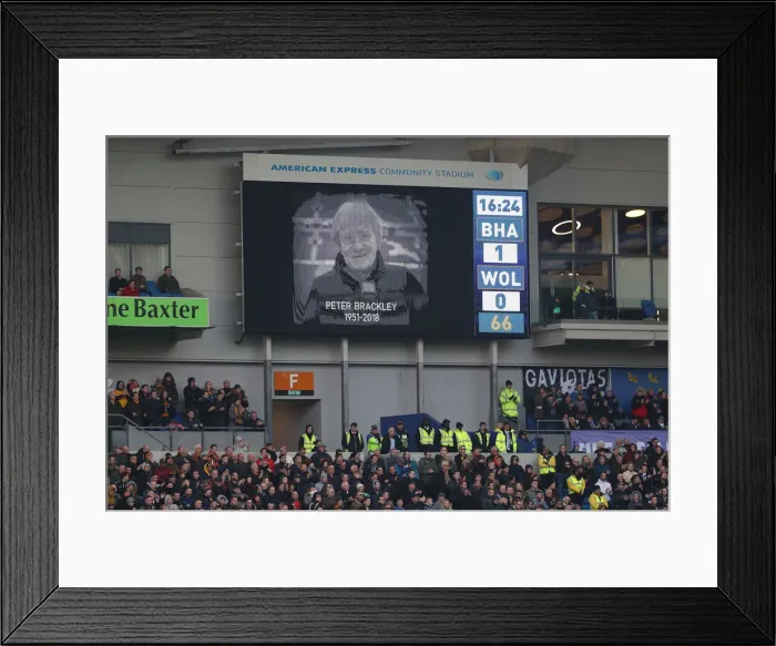 Framed Print : Brighton and Hove Albion vs. Wolverhampton Wanderers: A Premier League Showdown at American Express Community Stadium (October 26, 2018) Framed Print : Brighton and Hove Albion vs. Wolverhampton Wanderers: A Premier League Showdown at American Express Community Stadium (October 26, 2018)